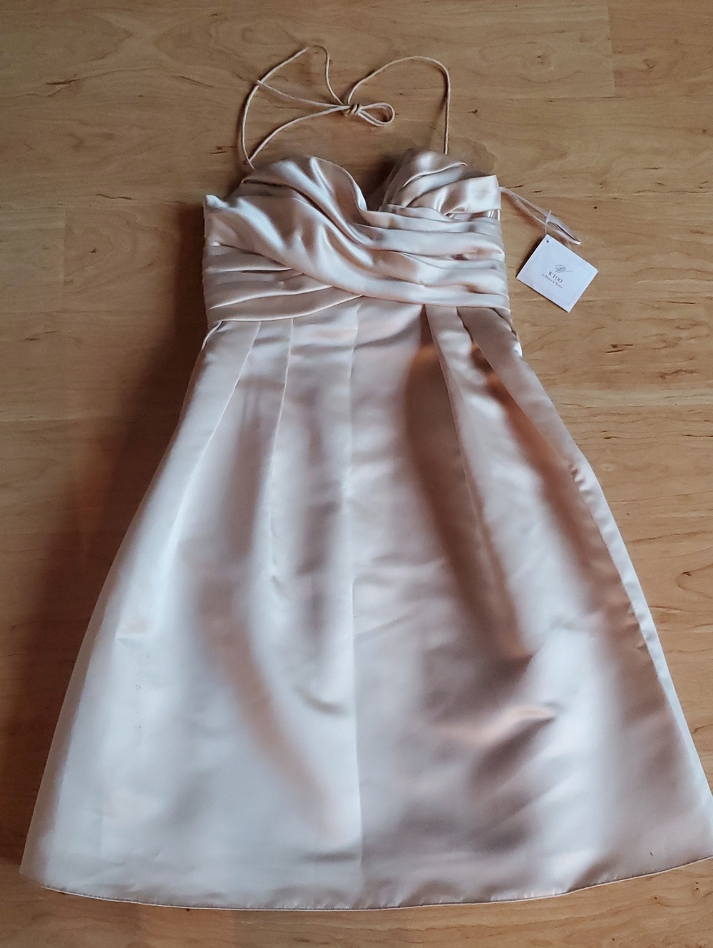 Watters WTOO Champagne Colored Cocktail Dress